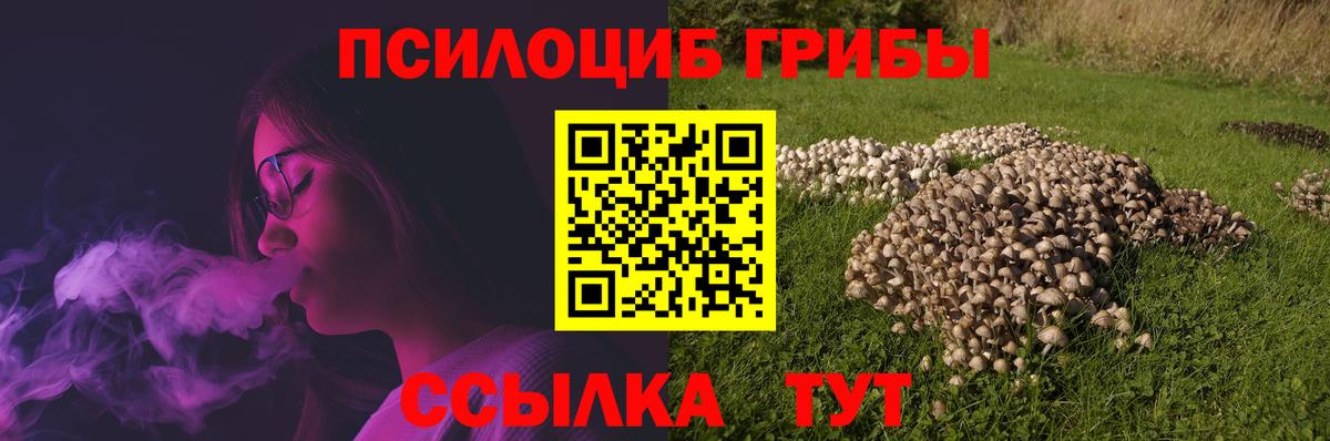 Галлюциногенные грибы Psilocybine cubensis Петропавловск-Камчатский